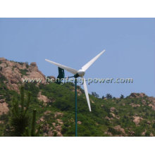 IEC 61400-2 compatible con viento turbina genetrator 2000w